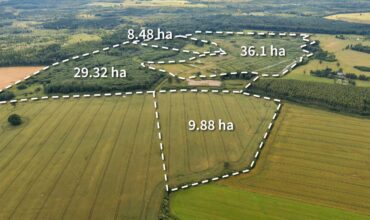 74ha LIZ + Meži Saldus nov.
