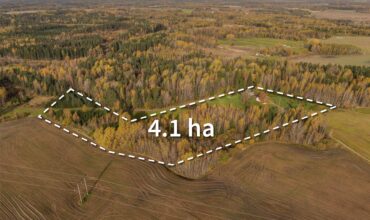Kopta lauku viensēta ar 4,1 ha zemes , dzīvojamo māju un plašām saimniecības telpām.
