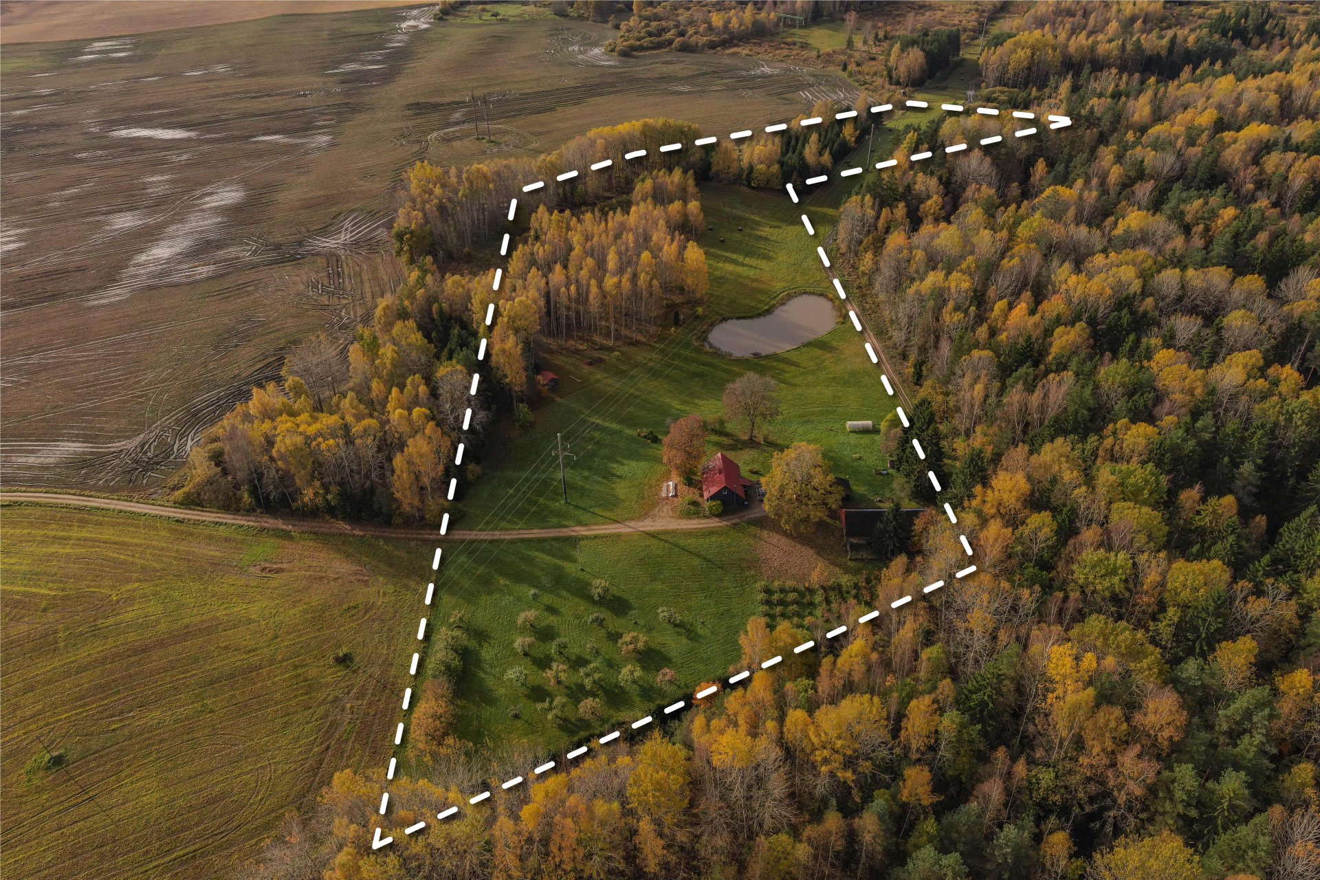 Kopta lauku viensēta ar 4,1 ha zemes , dzīvojamo māju un plašām saimniecības telpām.