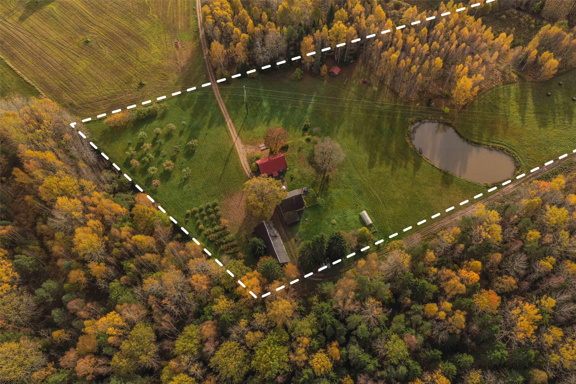 Kopta lauku viensēta ar 4,1 ha zemes , dzīvojamo māju un plašām saimniecības telpām.
