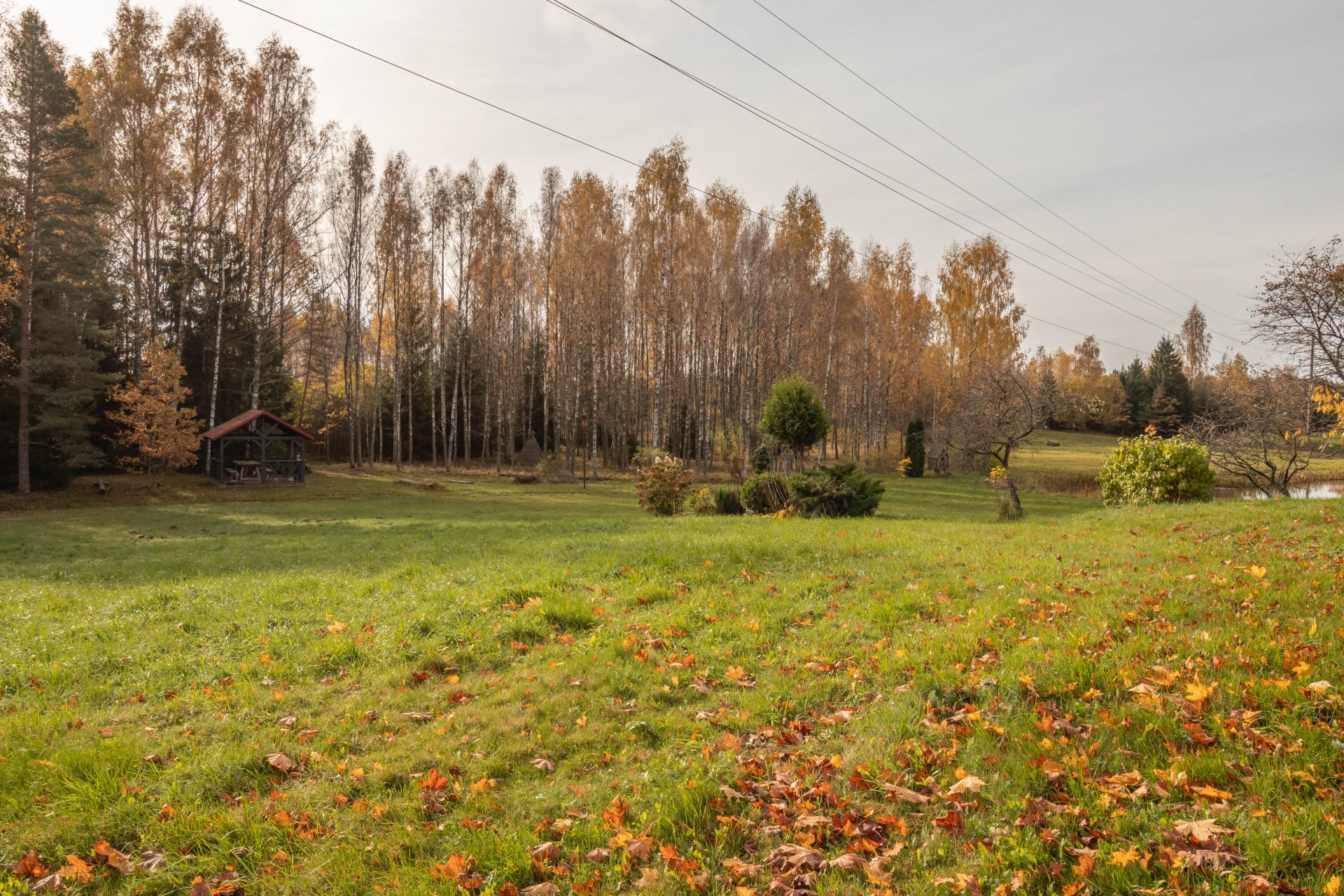 Kopta lauku viensēta ar 4,1 ha zemes , dzīvojamo māju un plašām saimniecības telpām.