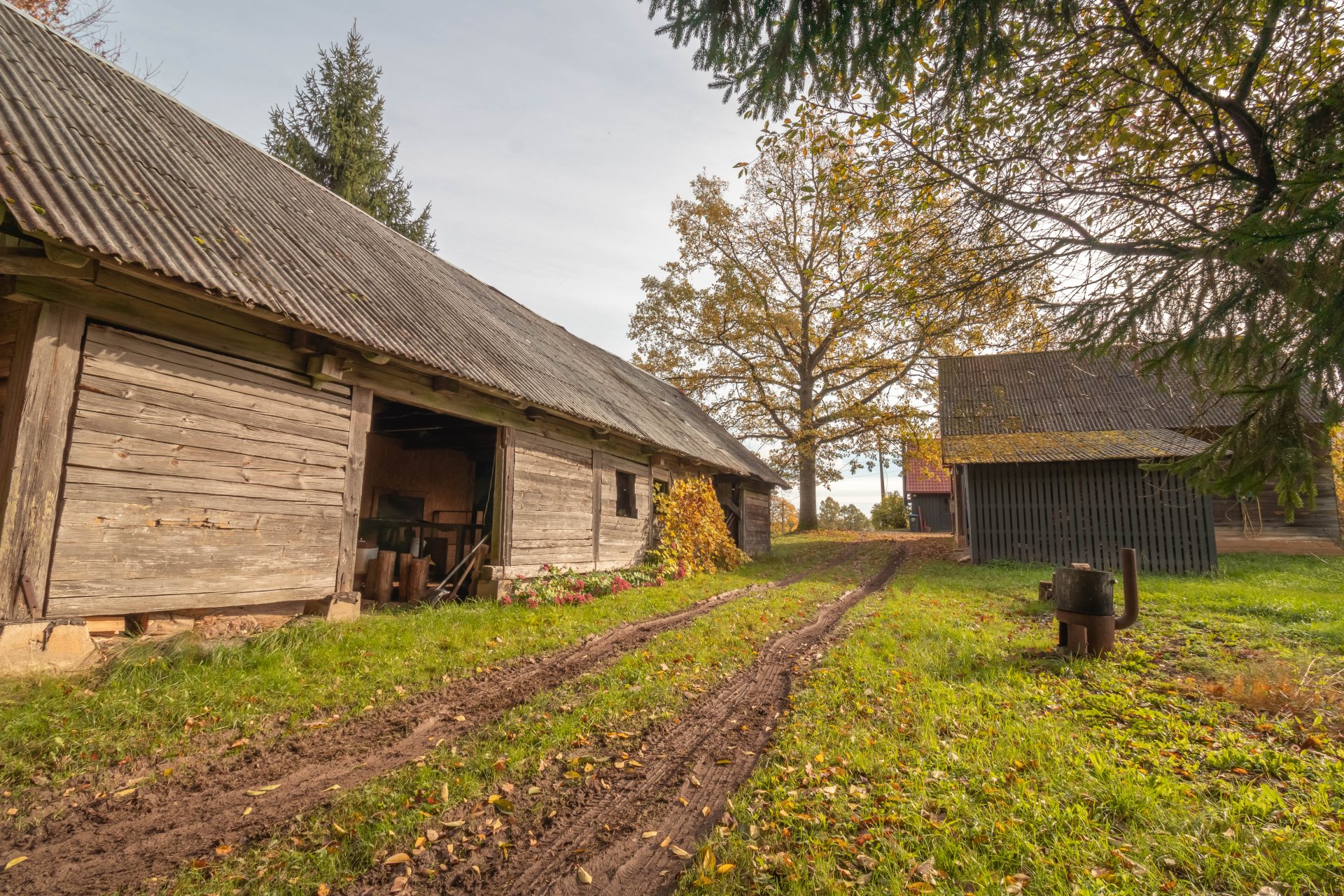 Kopta lauku viensēta ar 4,1 ha zemes , dzīvojamo māju un plašām saimniecības telpām.