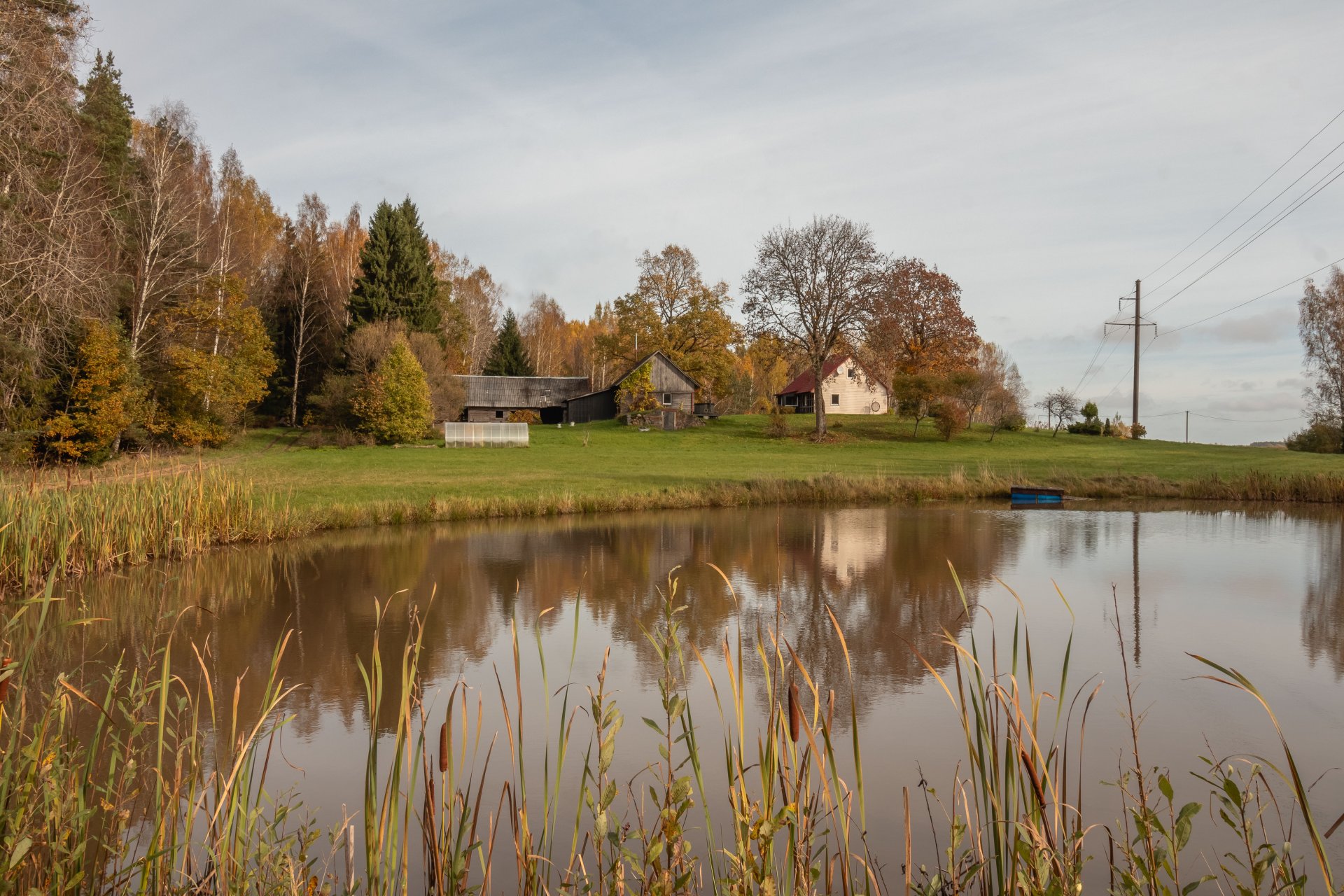 Kopta lauku viensēta ar 4,1 ha zemes , dzīvojamo māju un plašām saimniecības telpām.