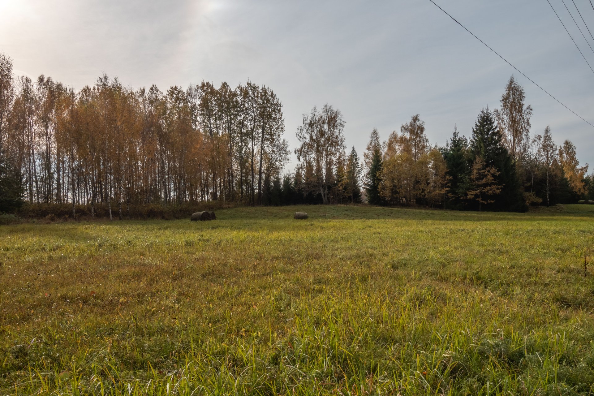 Kopta lauku viensēta ar 4,1 ha zemes , dzīvojamo māju un plašām saimniecības telpām.