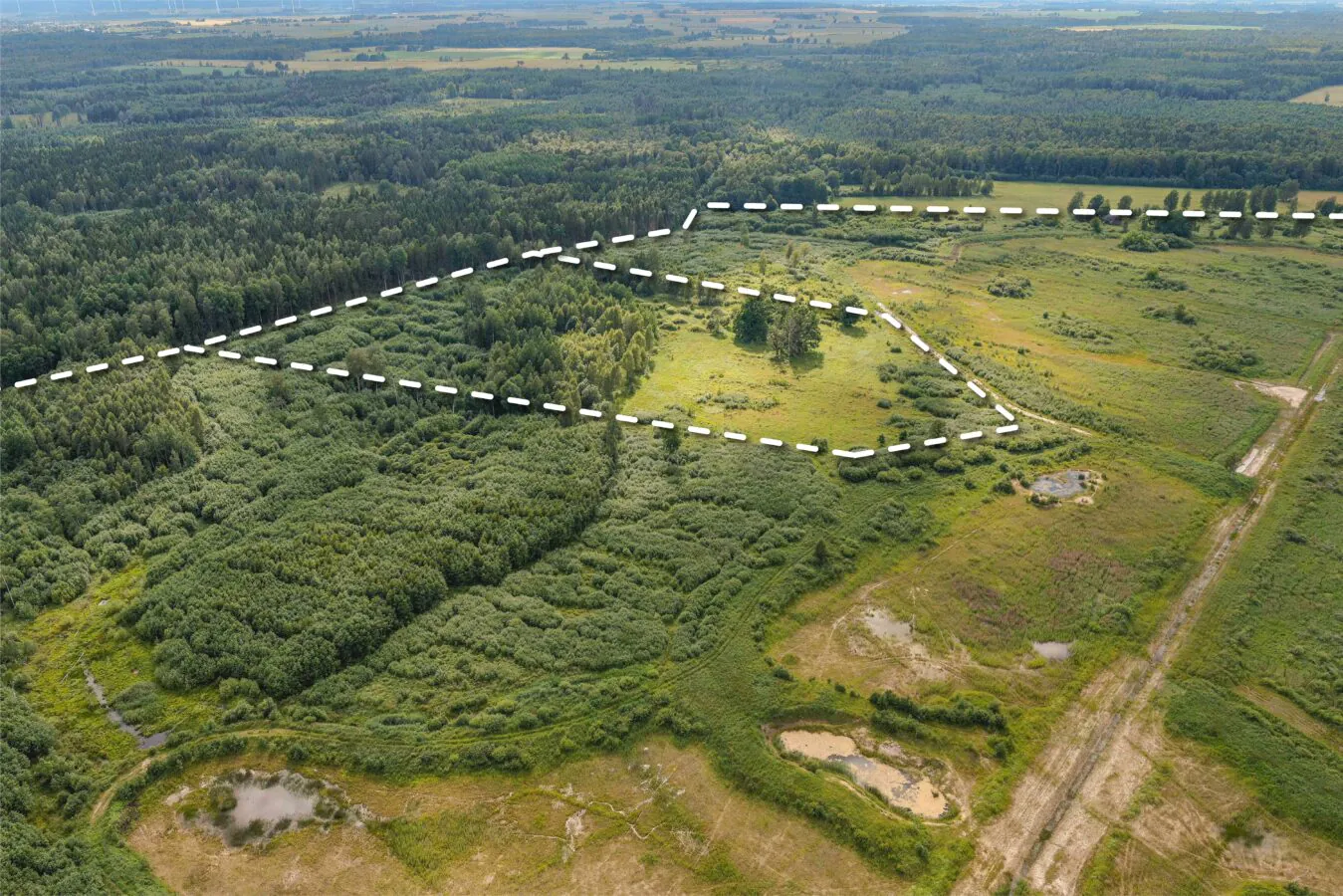 74ha LIZ + Meži Saldus nov.