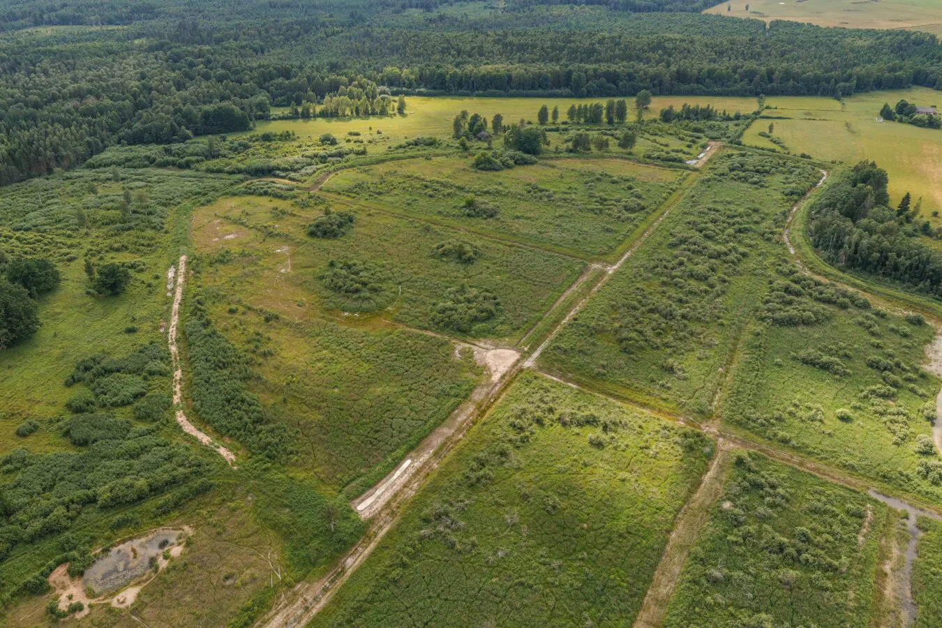 74ha LIZ + Meži Saldus nov.