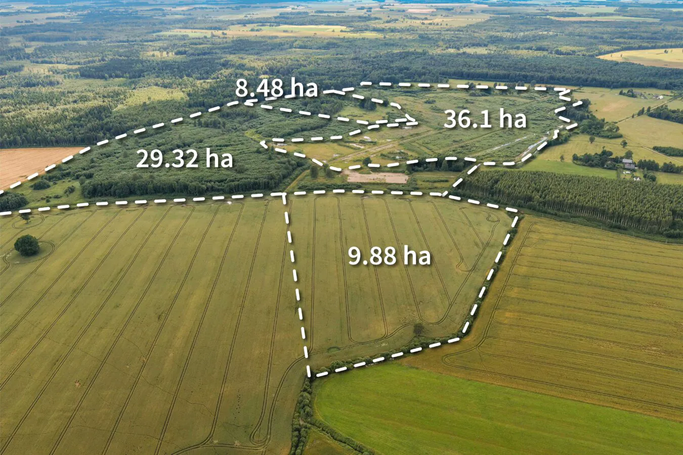 74ha LIZ + Meži Saldus nov.