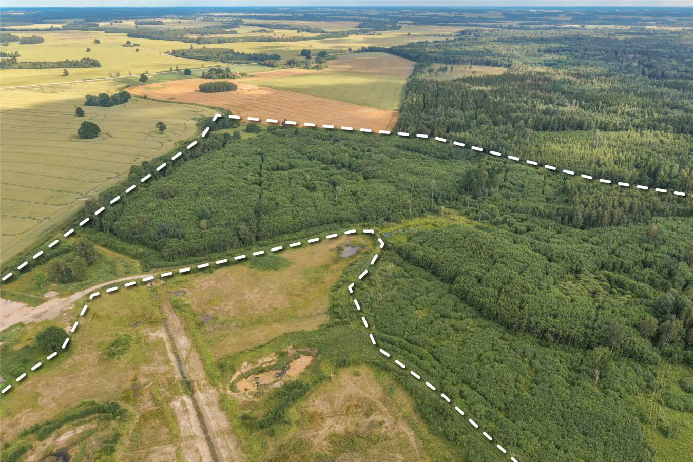 74ha LIZ + Meži Saldus nov.