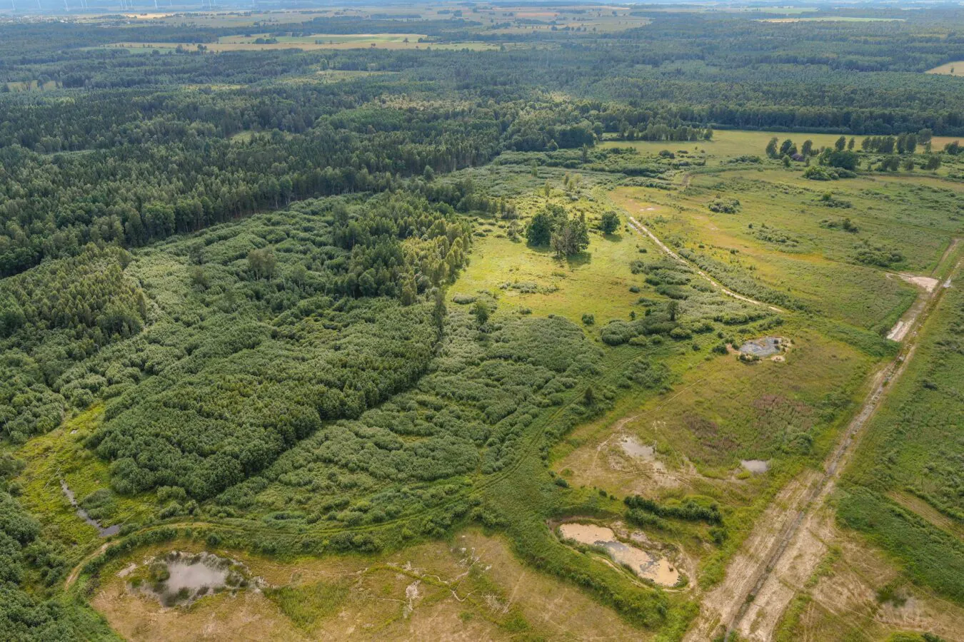 74ha LIZ + Meži Saldus nov.