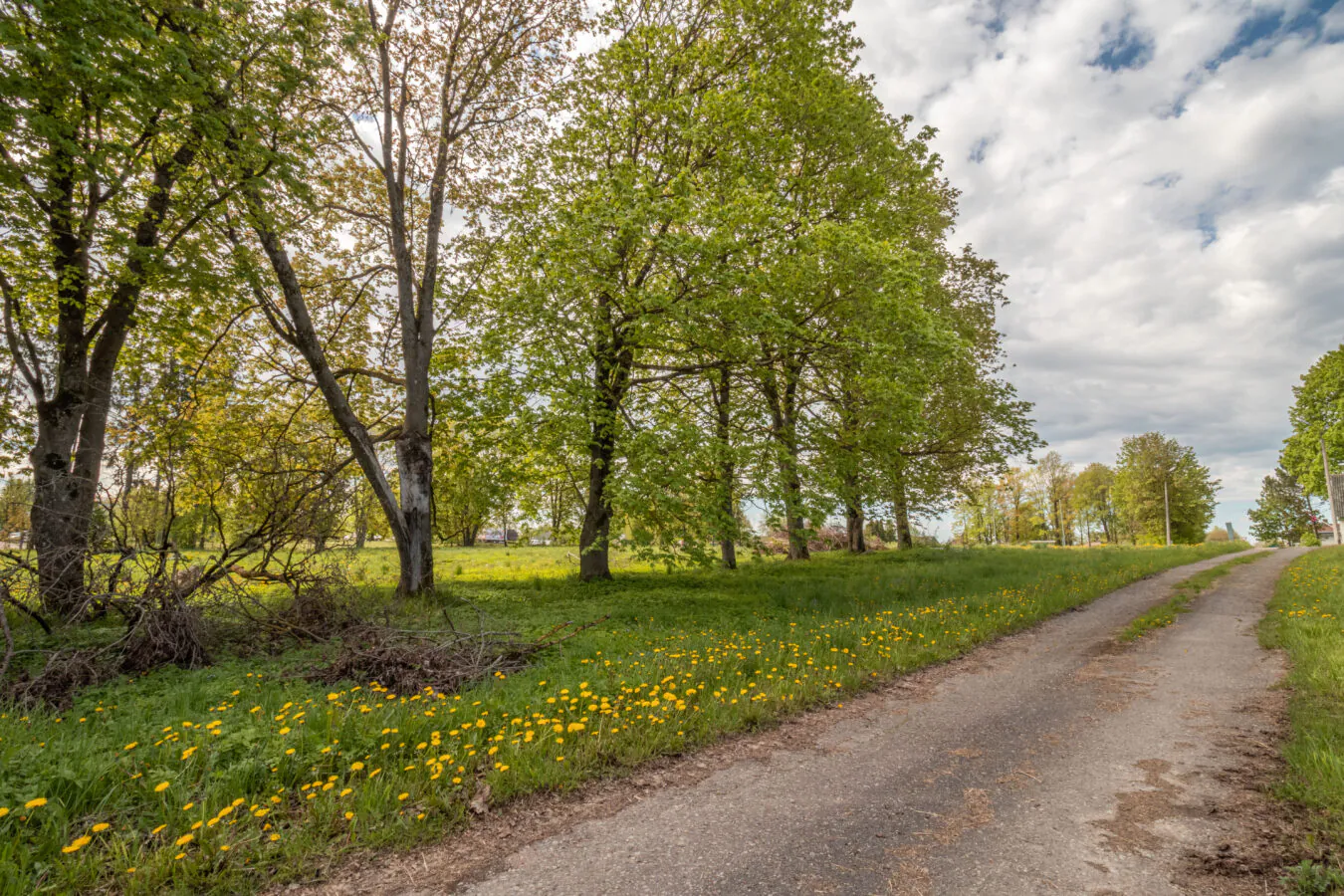 Investīciju attīstībai 1ha Saldū