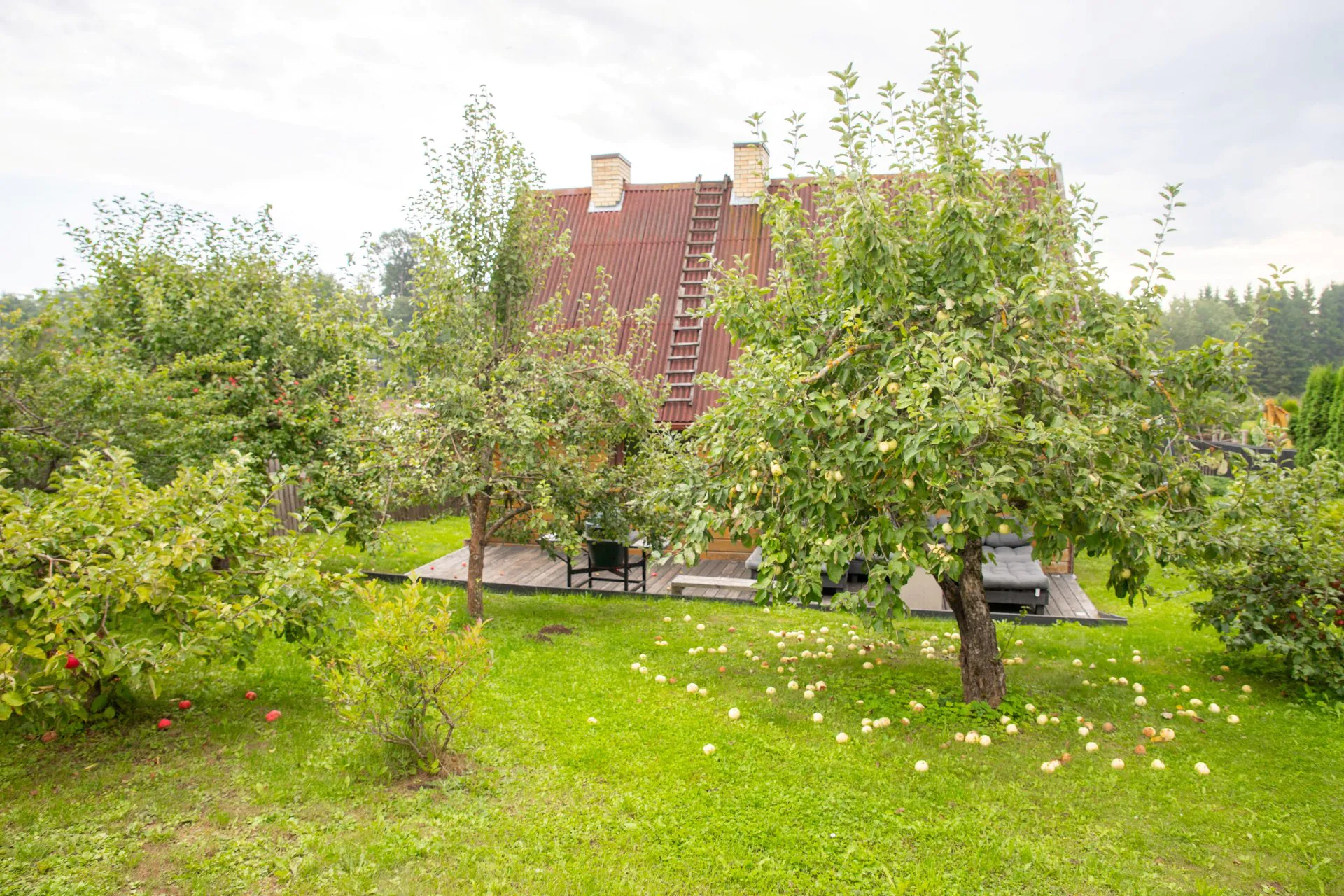 Pārdod dzīvojamo māju Saldū, Ziedonis dārzos