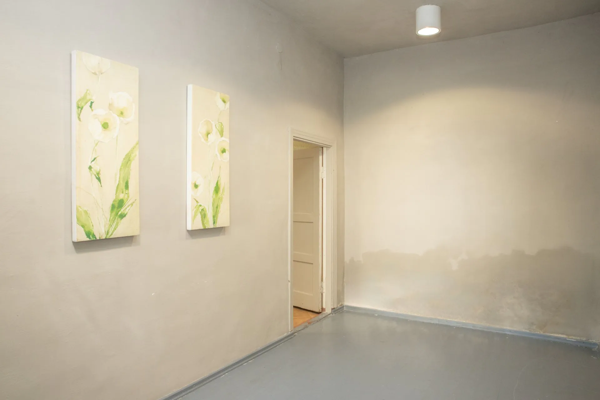 Plašas daudzfunkcionālas telpas 230.6 m² Sātiņos